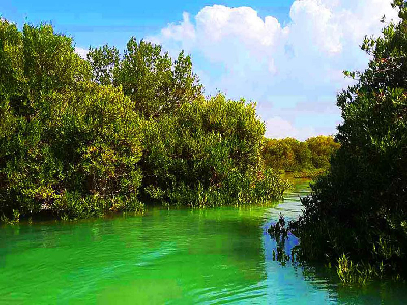  تور قشم گردی