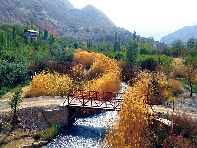 تصویر از آشنایی با زیبایی‌های روستای زرین دشت