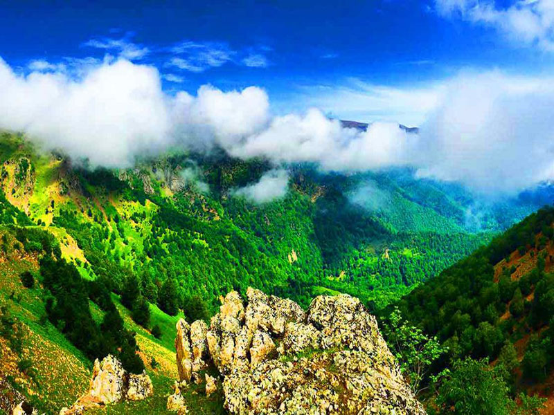 سوباتان تالش کجاست؟ 2 سوباتان تالش