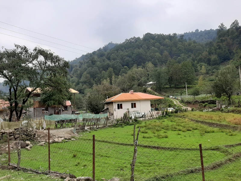 طاسکوه
