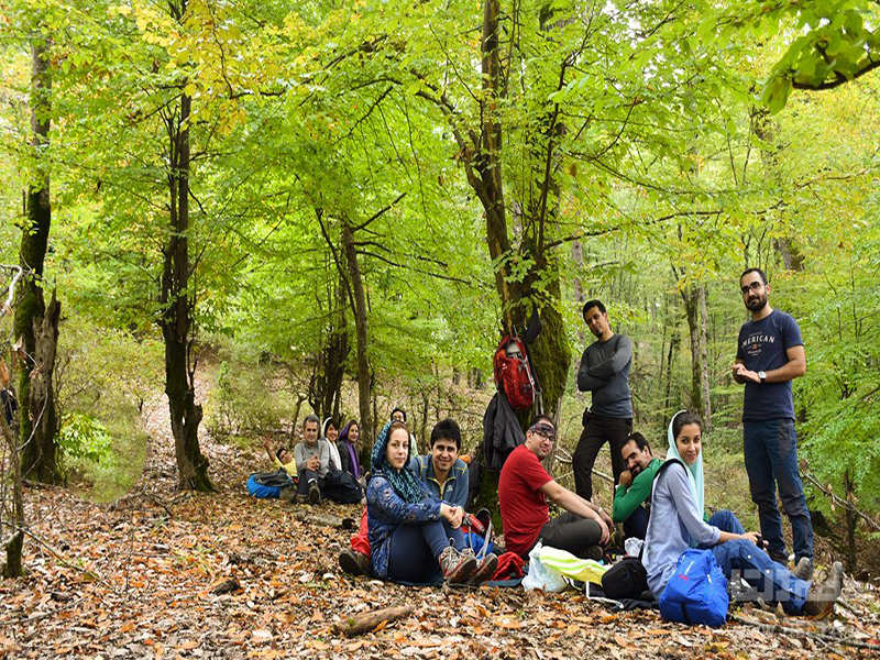 طبیعت گردی و پیاده روی