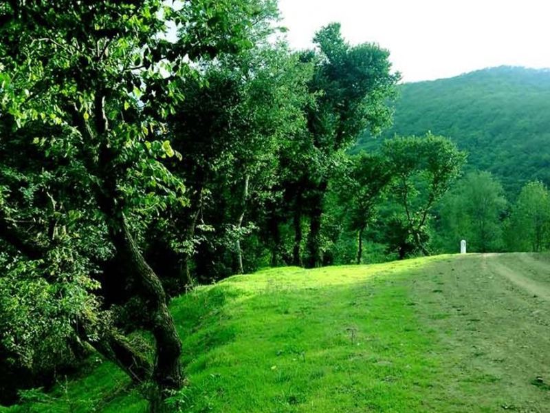 پارک جنگلی تنگه بهشت