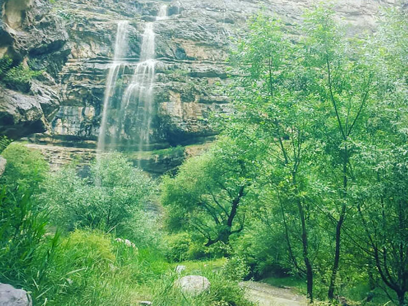 پوشش گیاهی دره شمخال