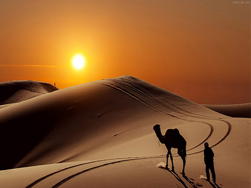 فاصله مشهد تا کویر مصر 5 تفریحات در کویر مصر