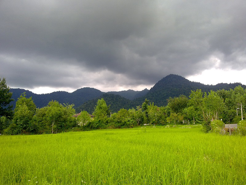 روستای سیاهمرد