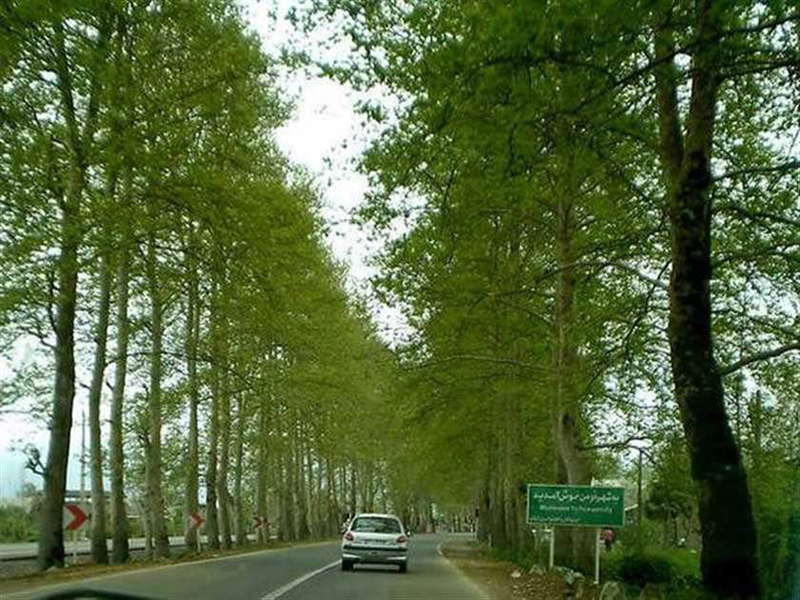 مسیر دسترسی به رشت از فومن