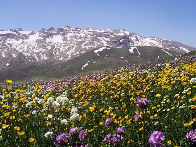 سفر به کردستان
