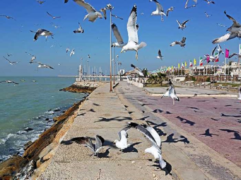 سفر به بوشهر
