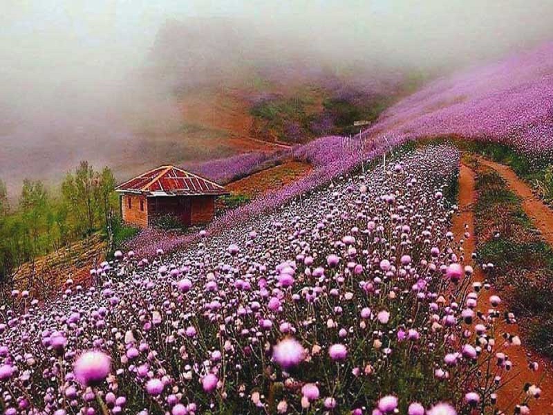 تصاویر جاده اسالم به خلخال هم اکنون