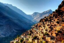 لیدر محلی کردستان
