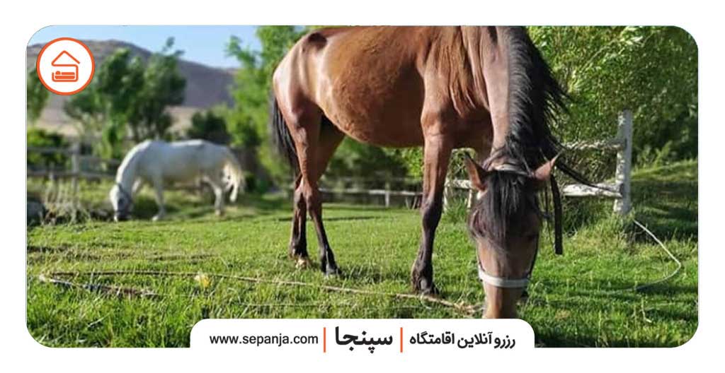 بهترین سوئیت آپارتمان های کرمانشاه 3 اقامتگاه بومگردی کرمانشاه