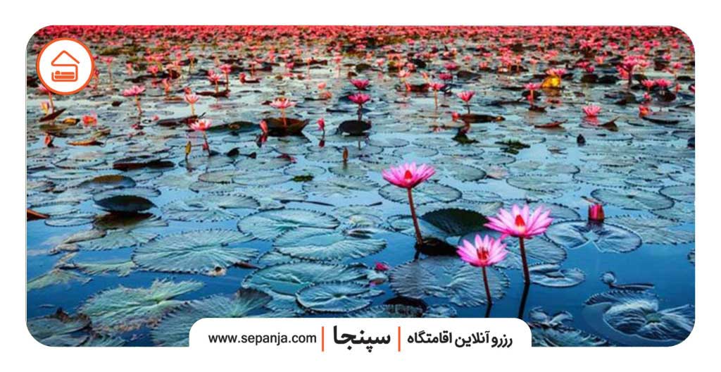 بهترین سوئیت آپارتمان های انزلی 3 جاهای دیدنی انزلی