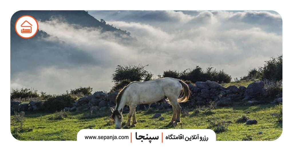 بام آمل کجاست