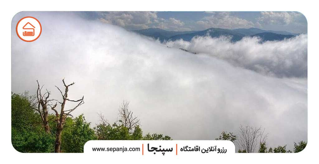 مسیر جنگل ابر از گرگان