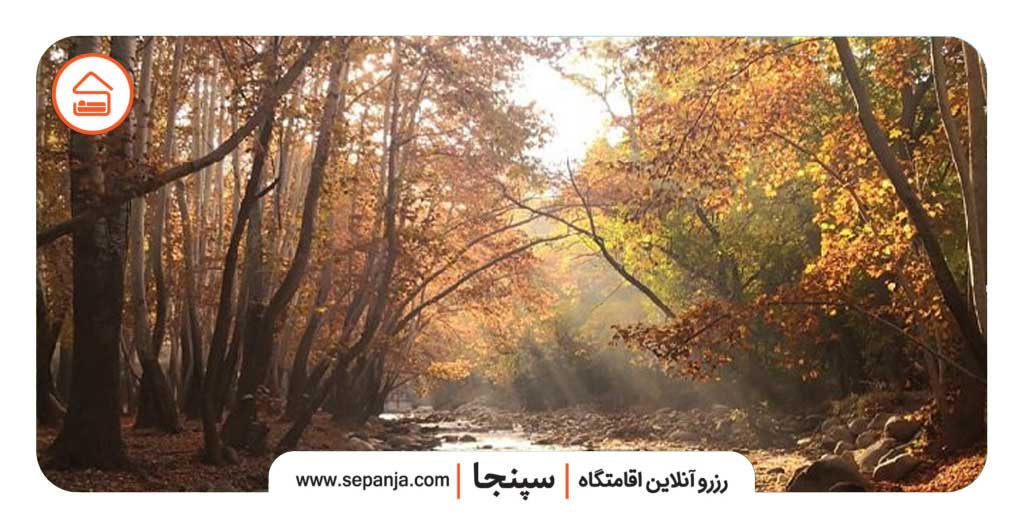 نزدیک ترین جنگل به کرج