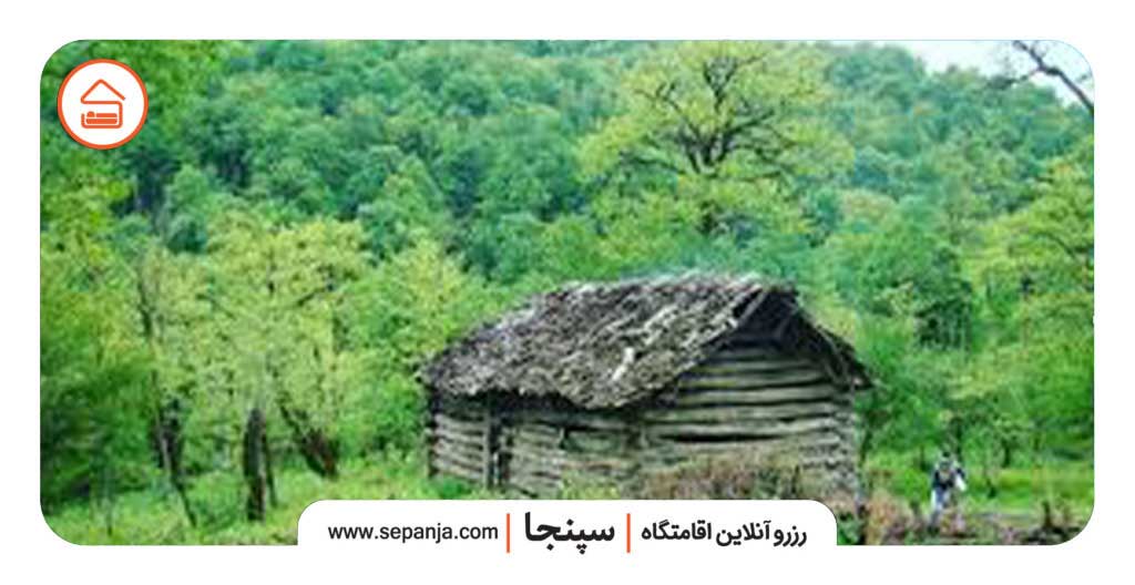 بهترین کلبه‌های جنگلی مازندران