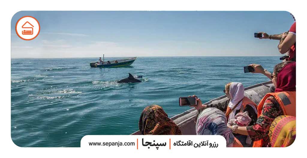 طبیعتگردی در جزیره هرمز؛ راهنمای سفر و رزرو اقامتگاه | سپنجا 3 طبیعتگردی در هرمز