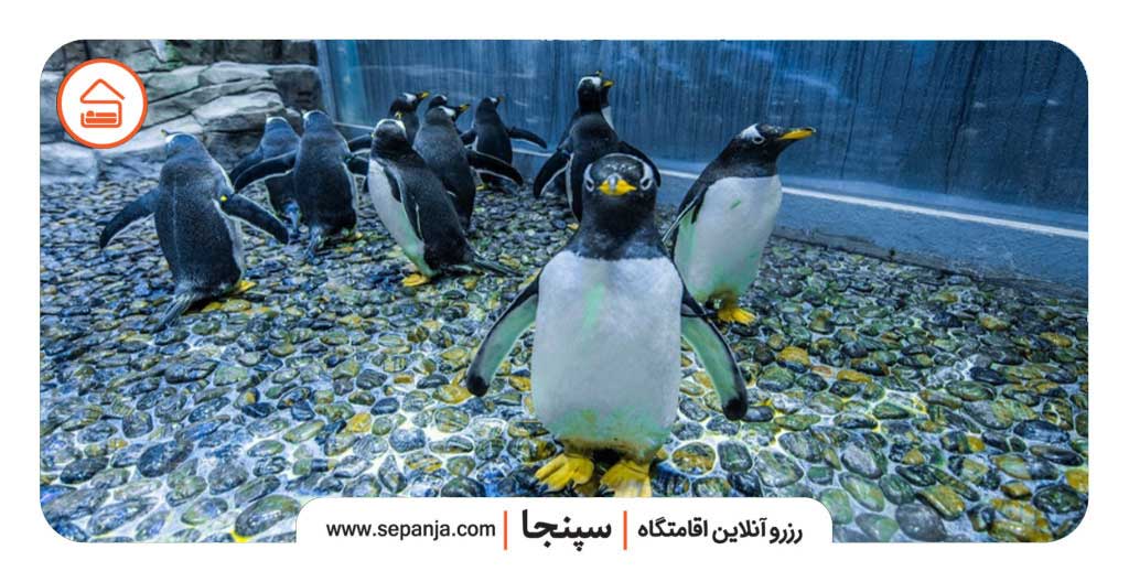 بهترین زمان سفر به دبی