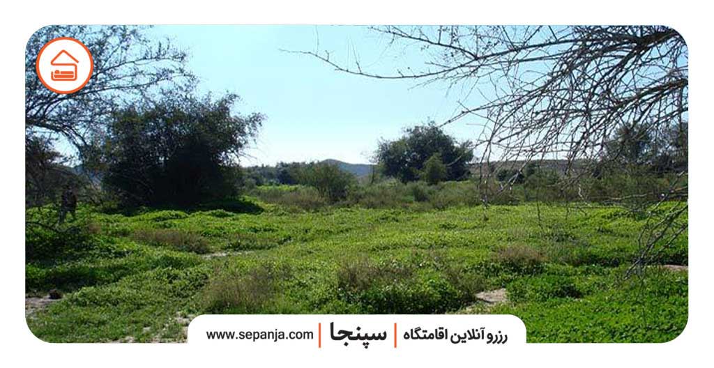 دشت بوخو قشم،جاذبه ای به وسعت یک رویا 3 دشت بوخو قشم کجاست؟