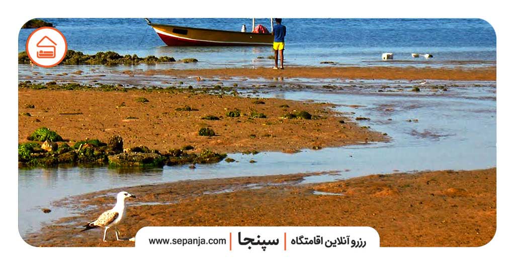 جزیره لارک،جزیره ای بکر و رویایی