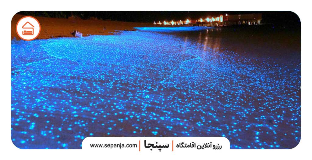 جزیره لارک،جزیره ای بکر و رویایی