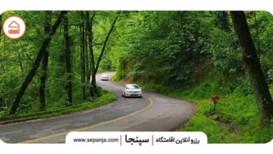 نمای جاده جنگلی در مسیر سفر به رامسر