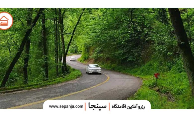 نمای جاده جنگلی در مسیر سفر به رامسر