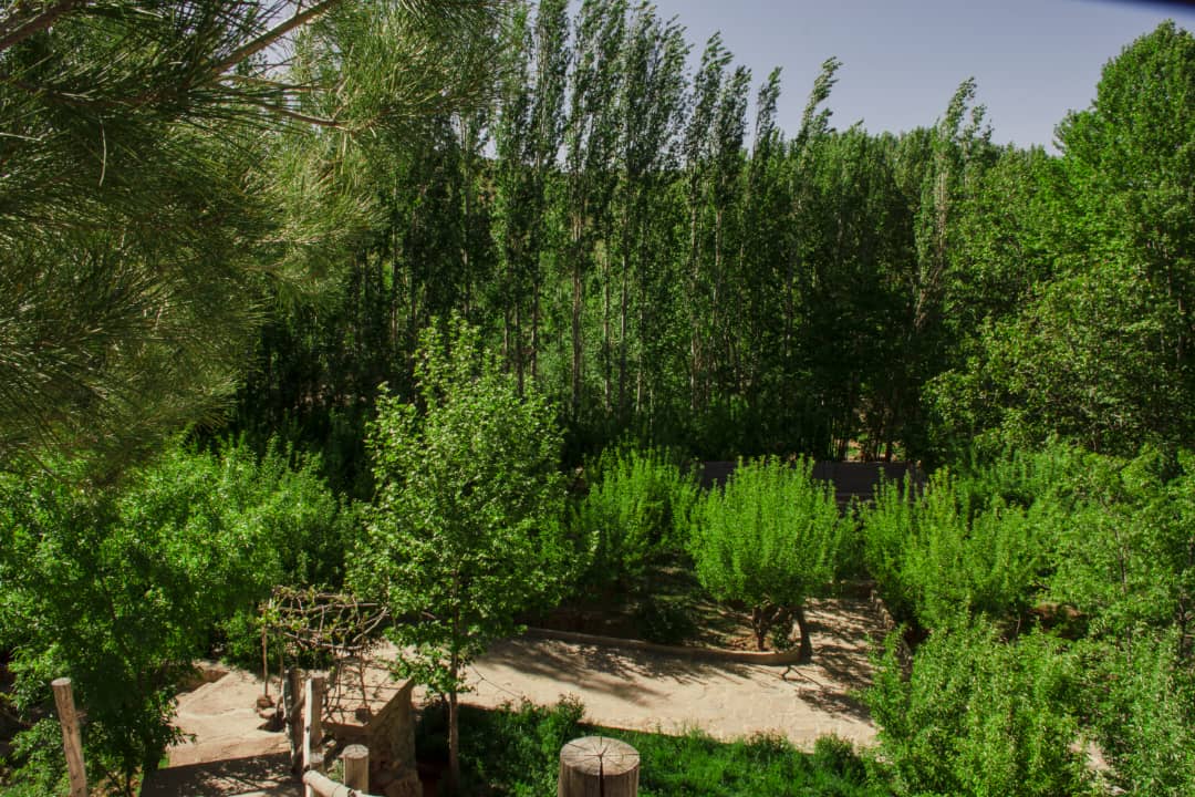 بوم گردی اجاره کلبه باغ سنتی در پسکوهک شیراز