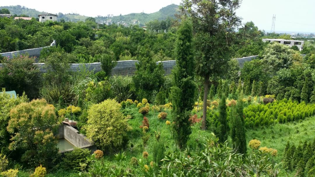 Forest باغ و ویلا در خیابان میرزا کوچک خان جنگلی