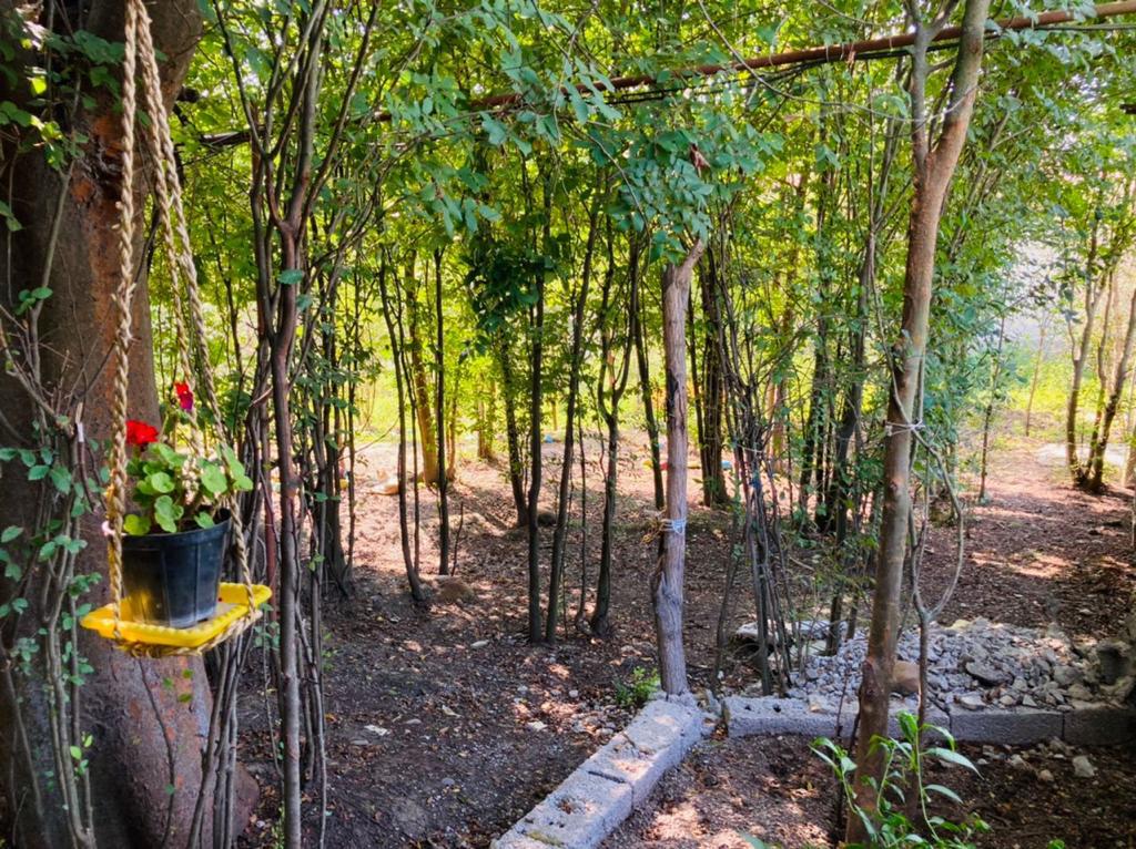 Forest ویلا باغ سنتی در کچا رشت - آتش