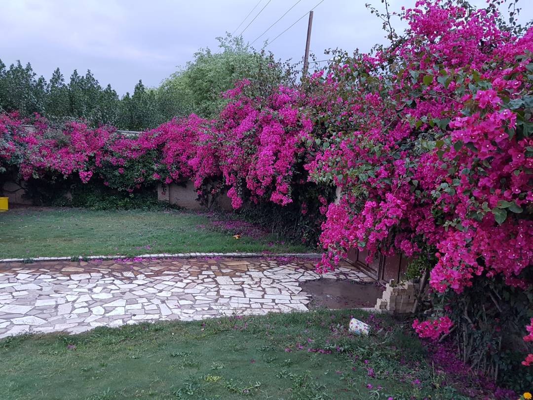 Village ویلا با استخر روباز آبگرم در شمس آباد