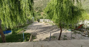 یاسوج
