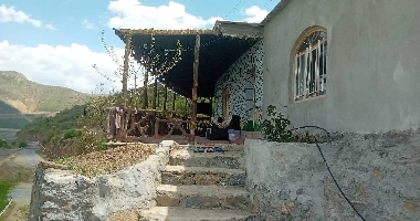 کردستان