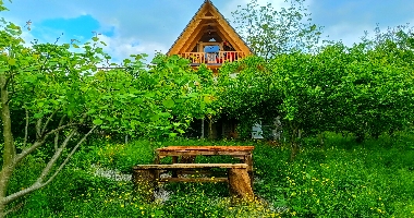  همه چیز دربارهبه سوئیس