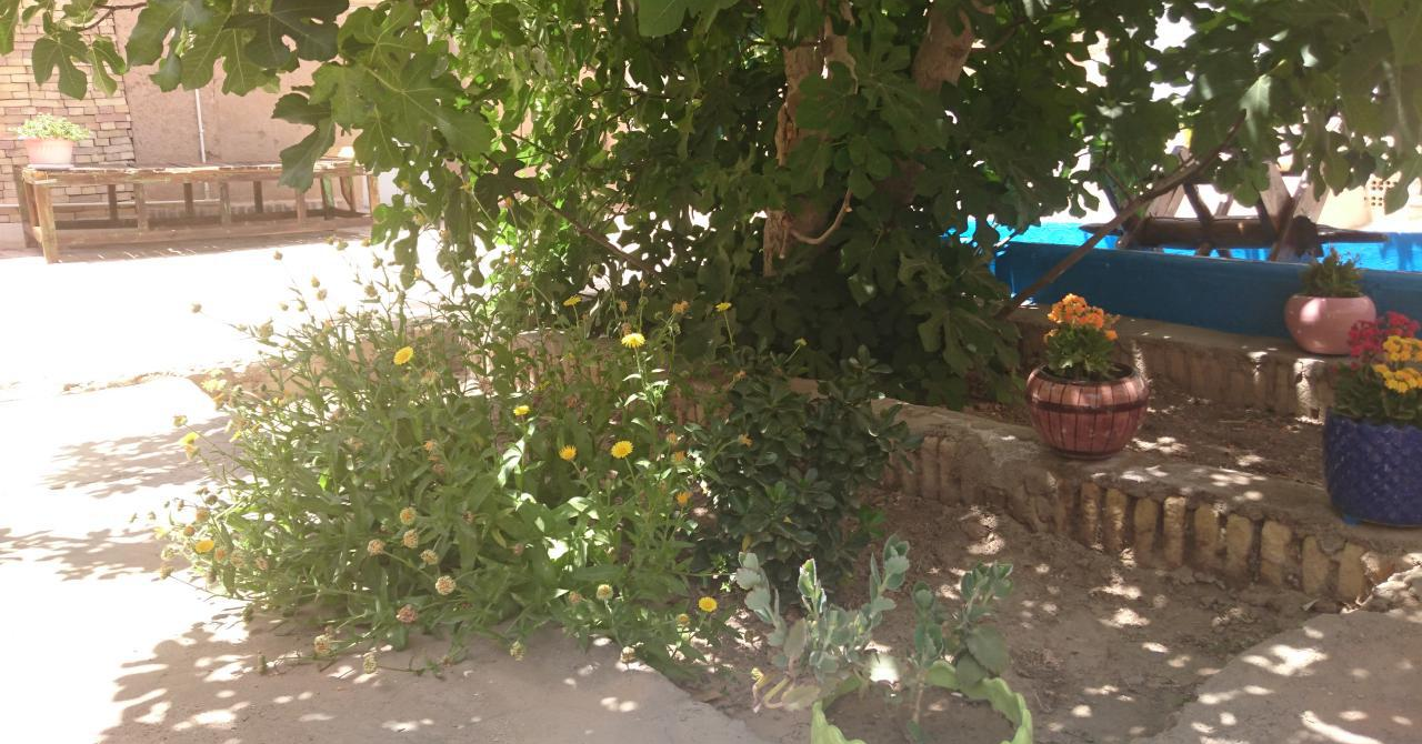 Eco-tourism اجاره اقامتگاه سنتی خانه مادربزرگ در یزد 