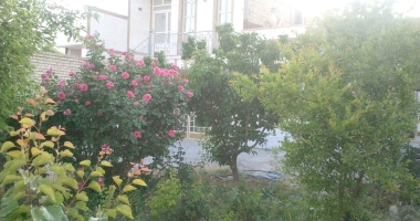 زمان برایبه ترکیه
