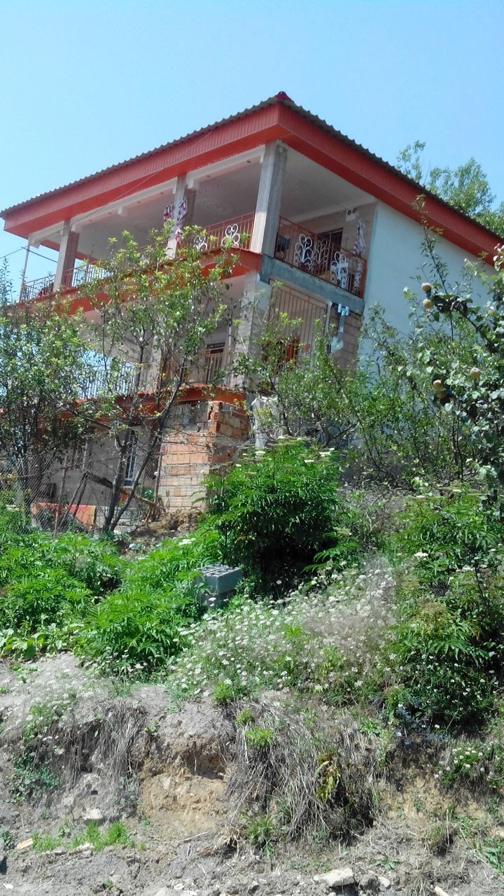 جنگلی اجاره منزل ویلایی در افراتخته علی آباد کتول - طبقه دوم