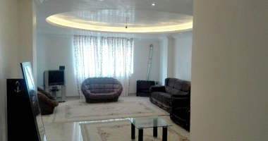 عجیب ترین جنگل های جهان